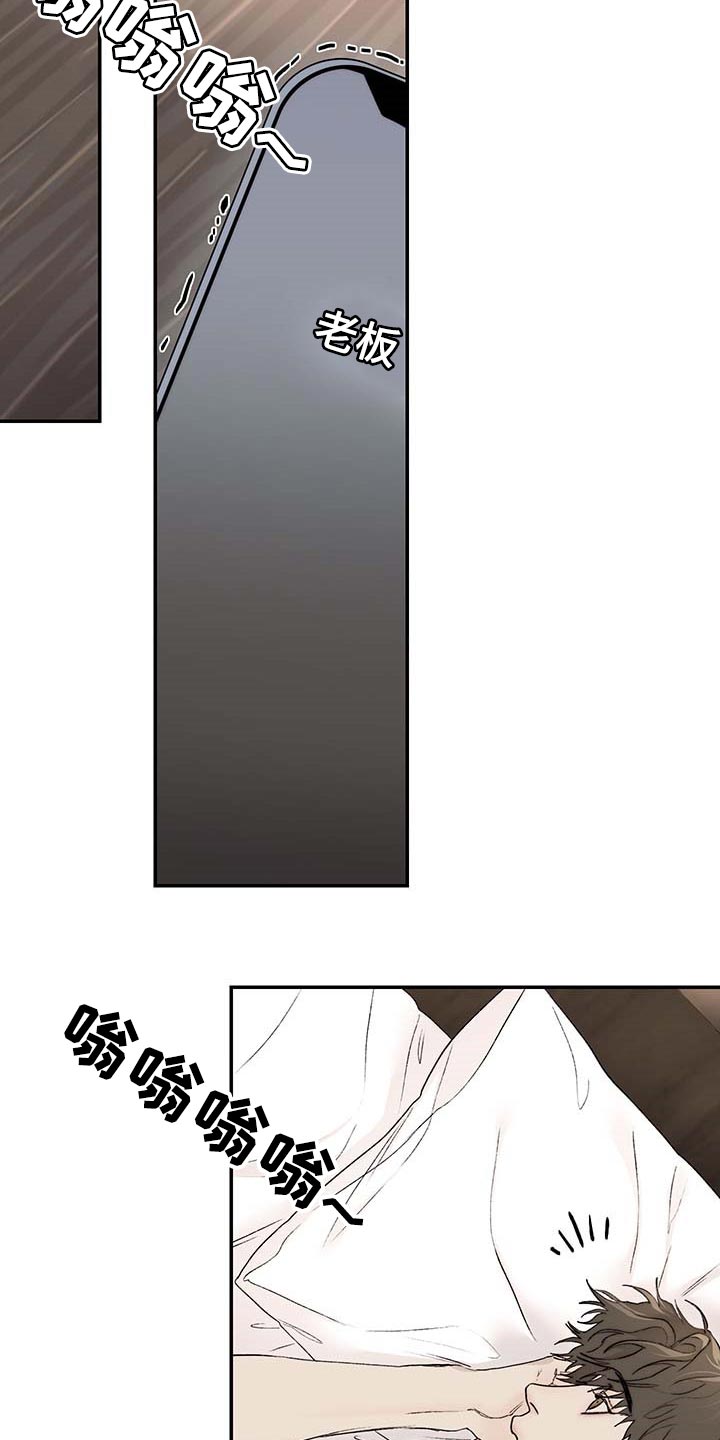 《我的魔鬼老板》第35章期待和不安 第17页