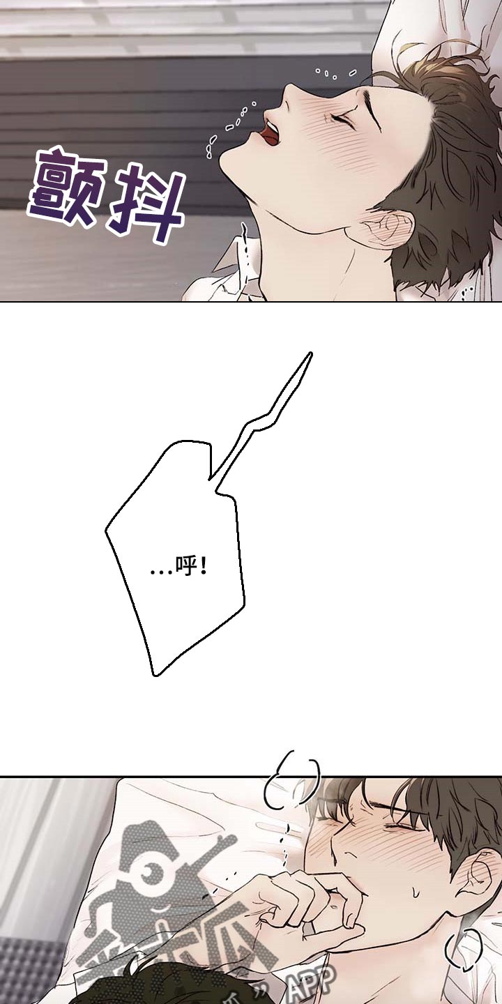 《我的魔鬼老板》第33章喝醉 第12页