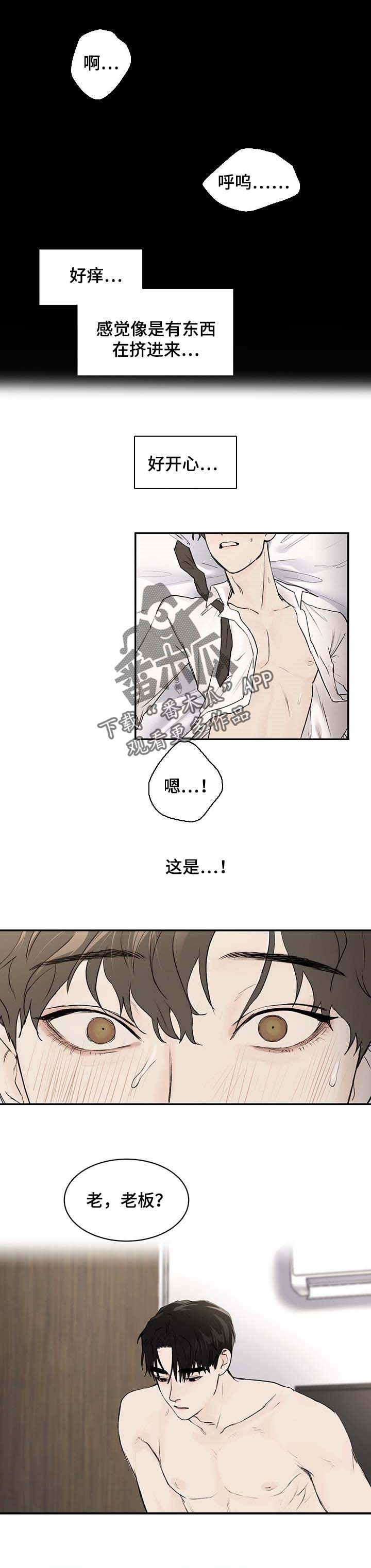 《我的魔鬼老板》第26章我只能爱你 第5页