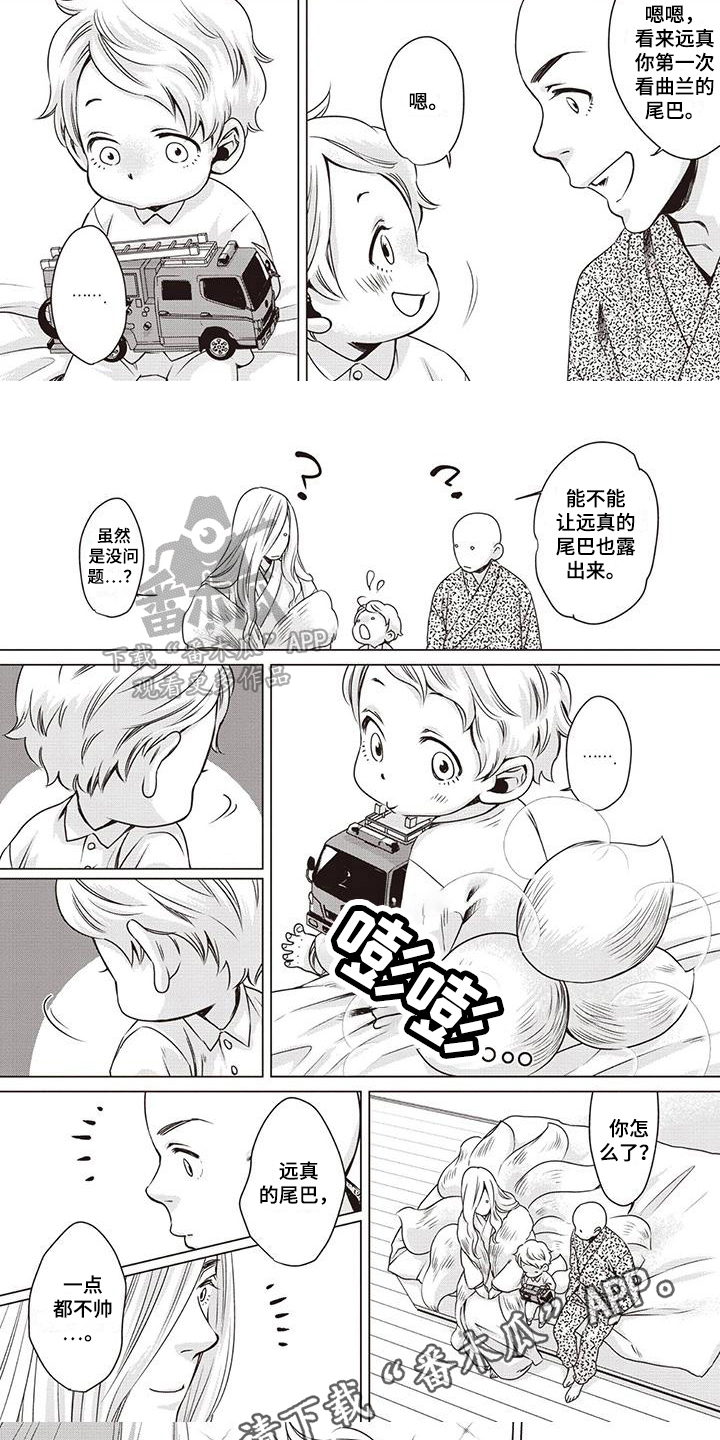 《九尾狐和继任者》第10章安慰 第6页
