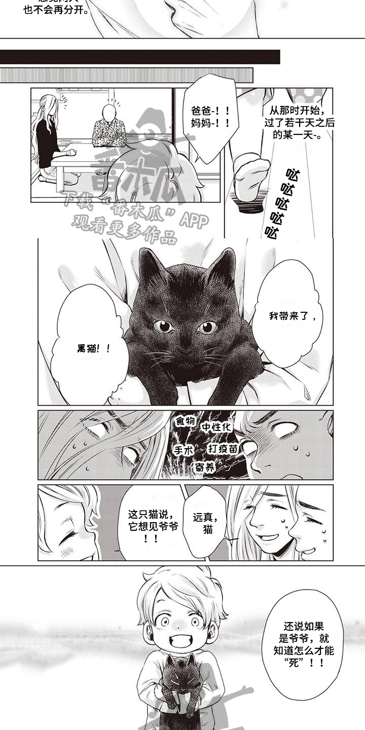 《九尾狐和继任者》第30章【第二季】懵懂 第5页