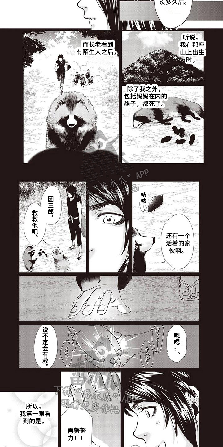 《九尾狐和继任者》第28章【第二季】烦恼 第2页