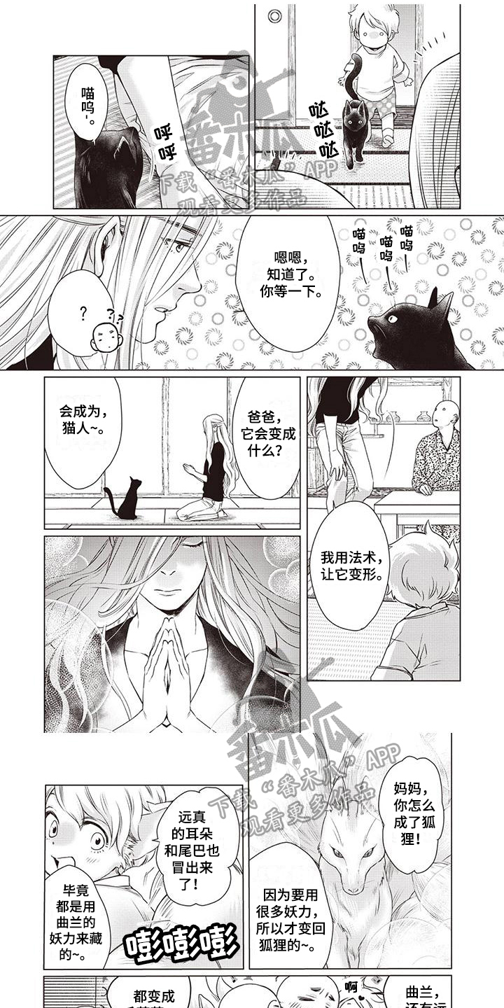 《九尾狐和继任者》第31章【第二季】目标 第1页