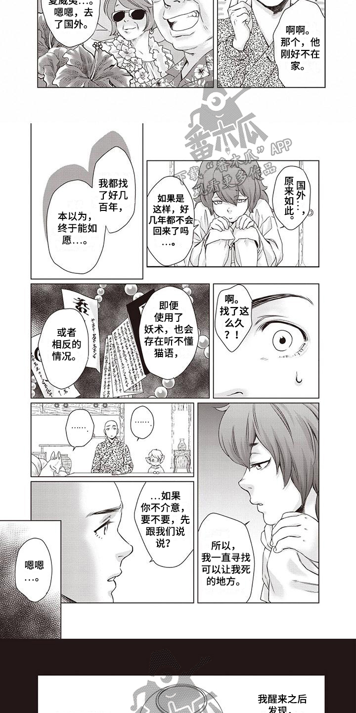 《九尾狐和继任者》第31章【第二季】目标 第3页