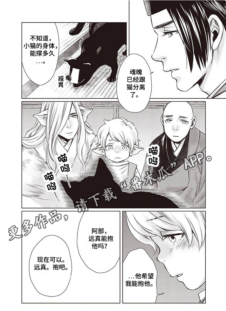 《九尾狐和继任者》第36章【第二季】拜托 第6页