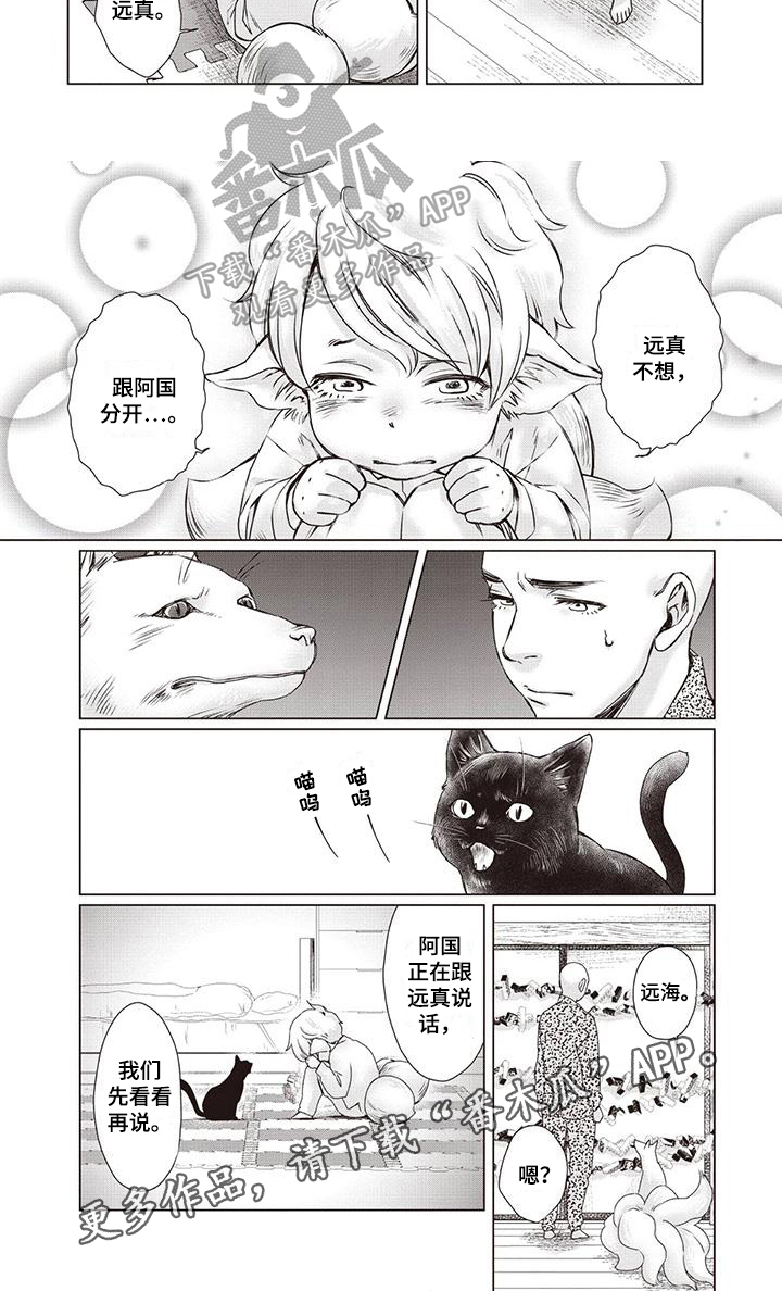《九尾狐和继任者》第35章【第二季】原因 第6页
