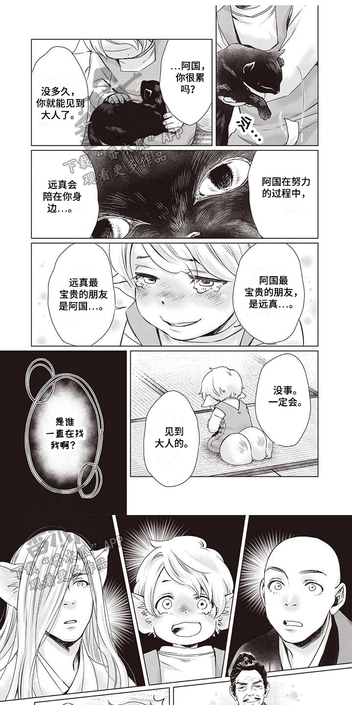 《九尾狐和继任者》第37章【第二季】星星闪耀 第1页