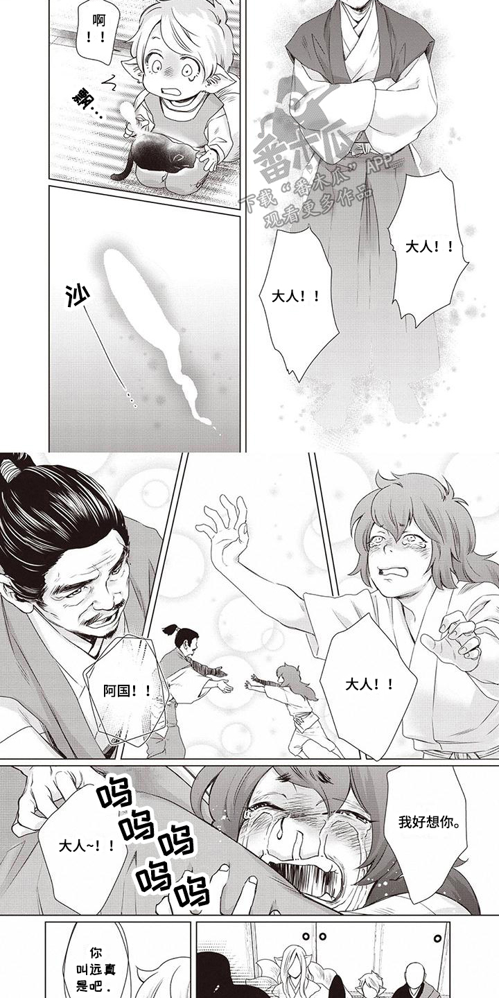 《九尾狐和继任者》第37章【第二季】星星闪耀 第2页
