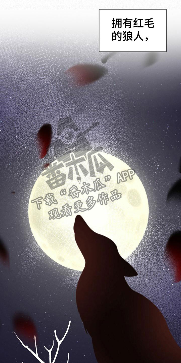 《渴血纠缠》第16章追击目标 第19页