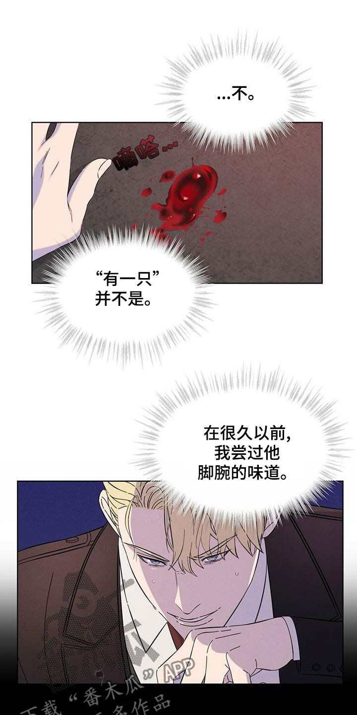 《渴血纠缠》第20章放过我吧 第13页
