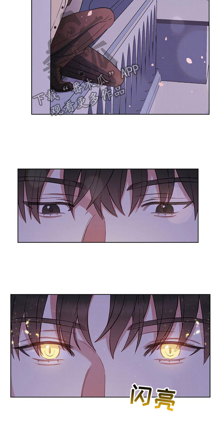 《渴血纠缠》第19章逃脱 第11页