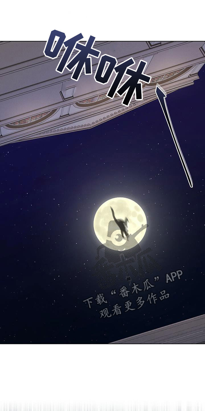 《渴血纠缠》第19章逃脱 第12页