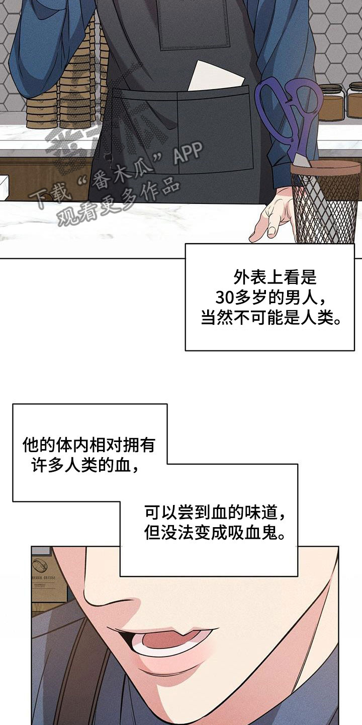 《渴血纠缠》第37章幻影族 第14页