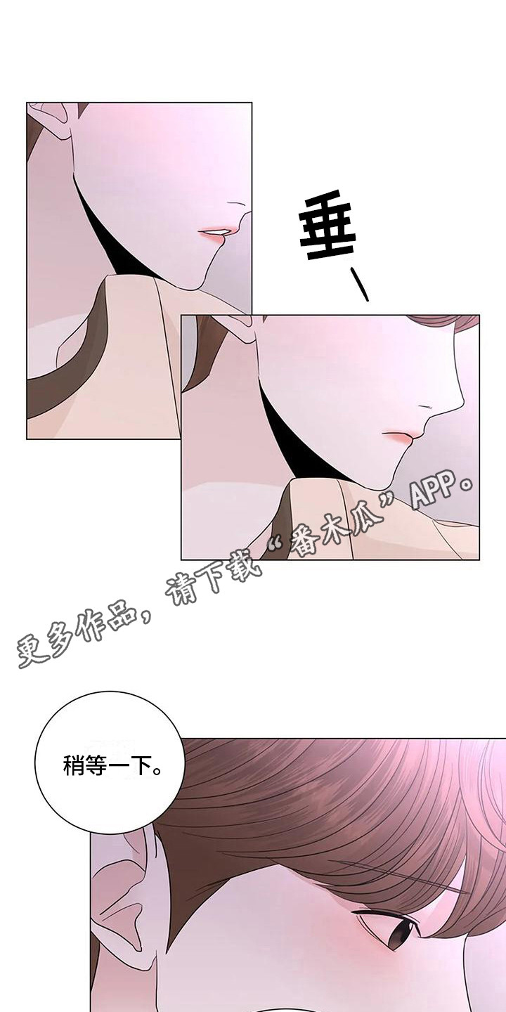 《盛夏恋歌》第30章 整理思绪 第11页