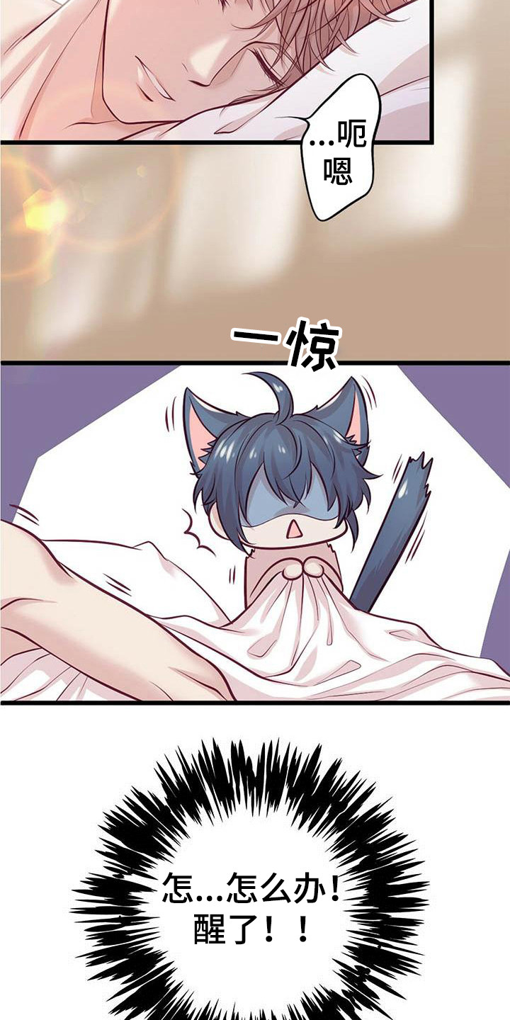 《爱豆新星》第1章惊醒 第11页