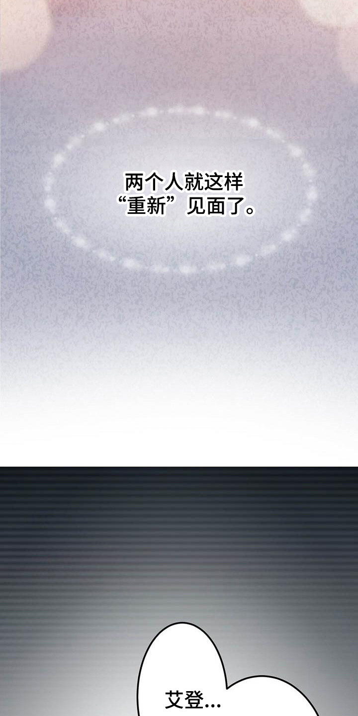 《爱豆新星》第4章看视频 第15页