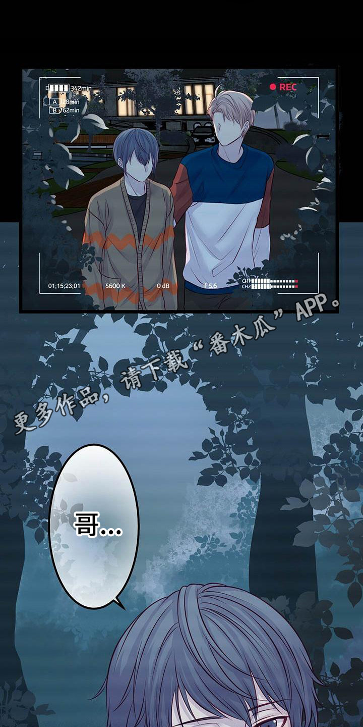 《爱豆新星》第7章共同获胜 第5页