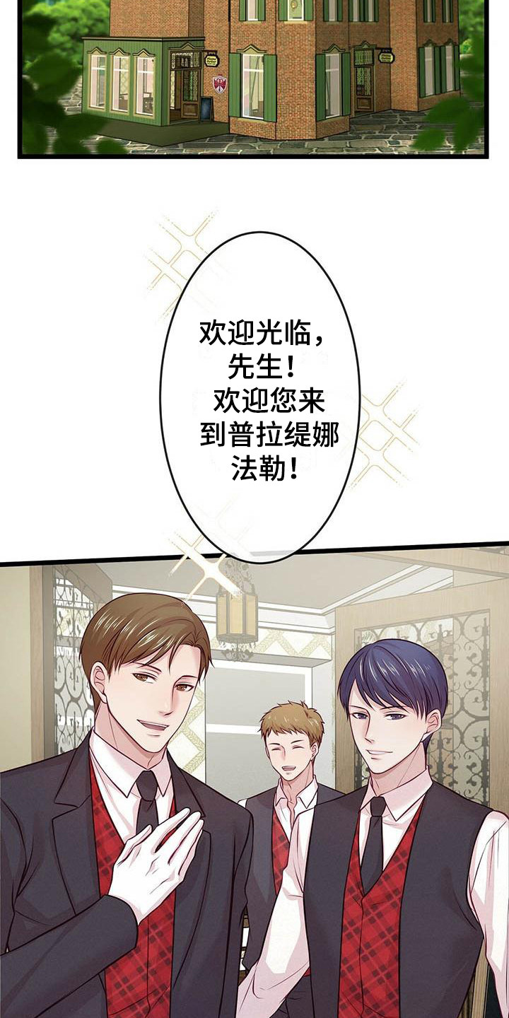 《爱豆新星》第12章约会 第15页