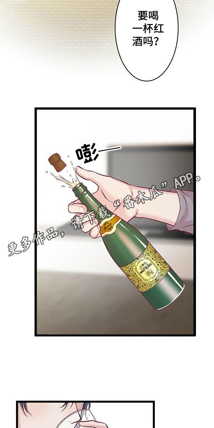 《爱豆新星》第14章喝一杯 第11页