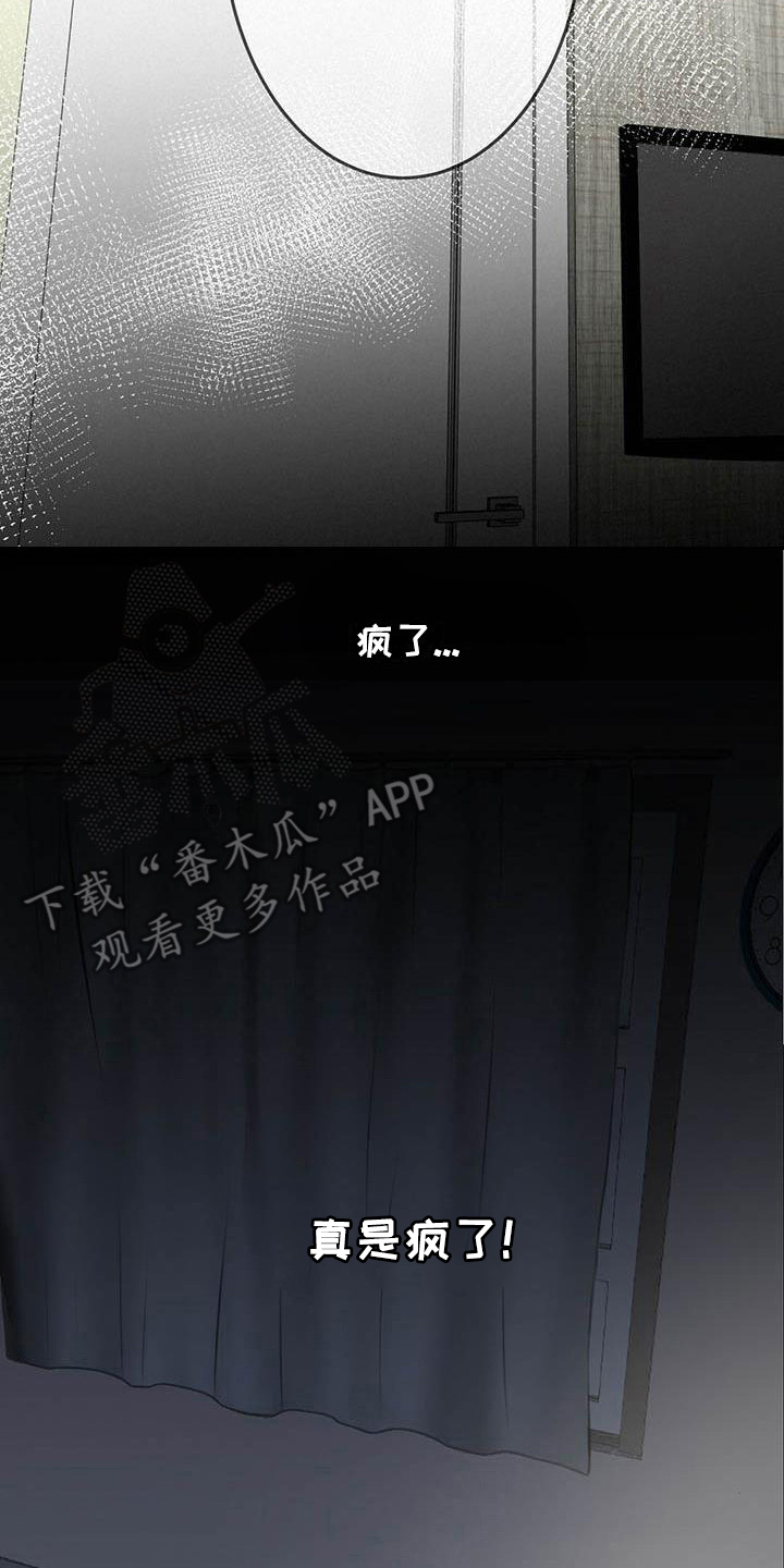 《爱豆新星》第16章意识模糊 第2页