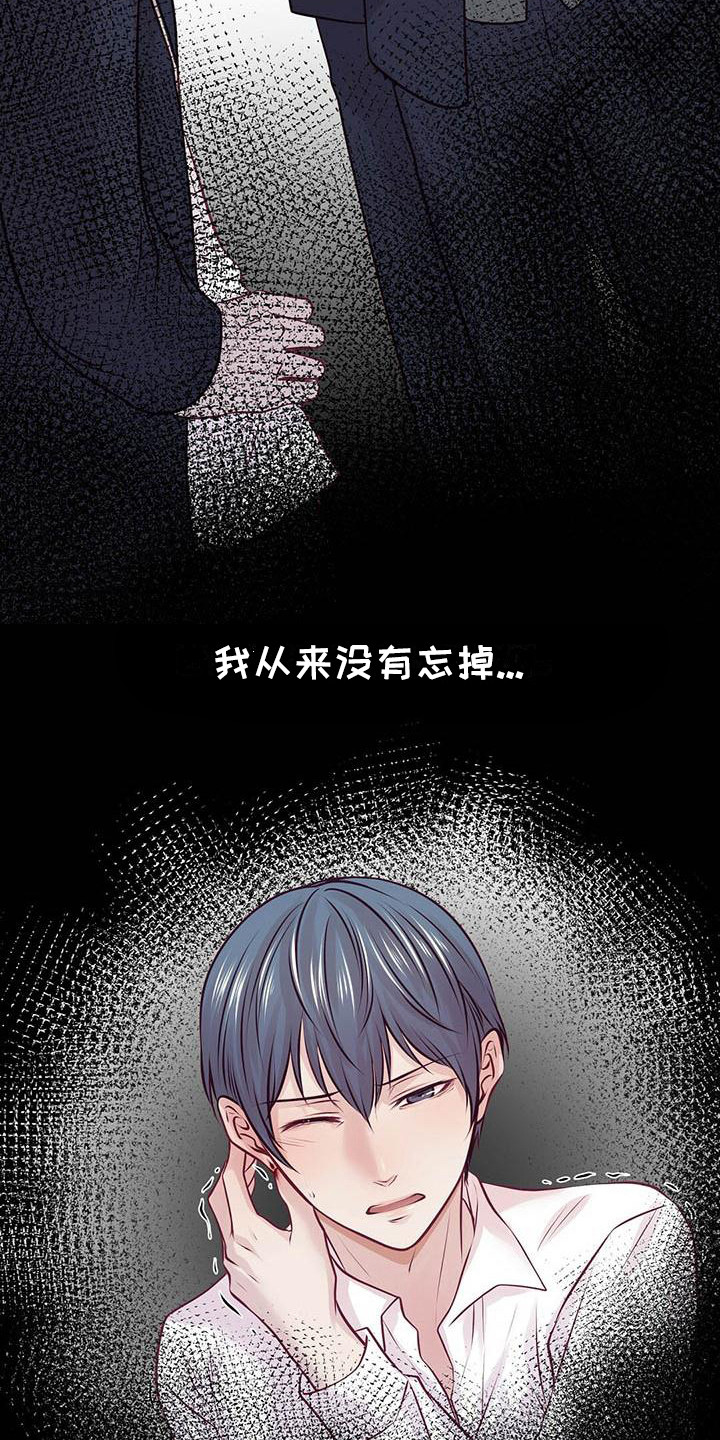 《爱豆新星》第24章我会等你 第3页