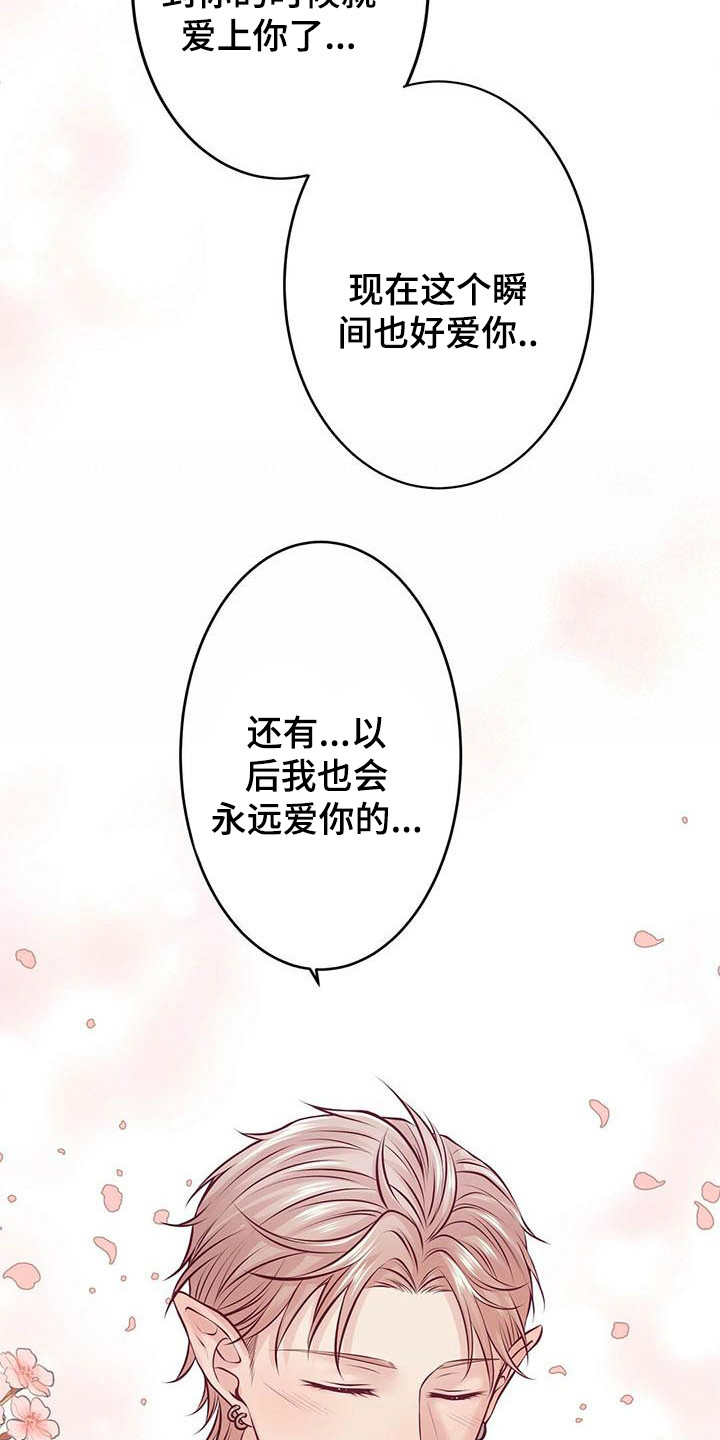《爱豆新星》第25章倾诉 第5页