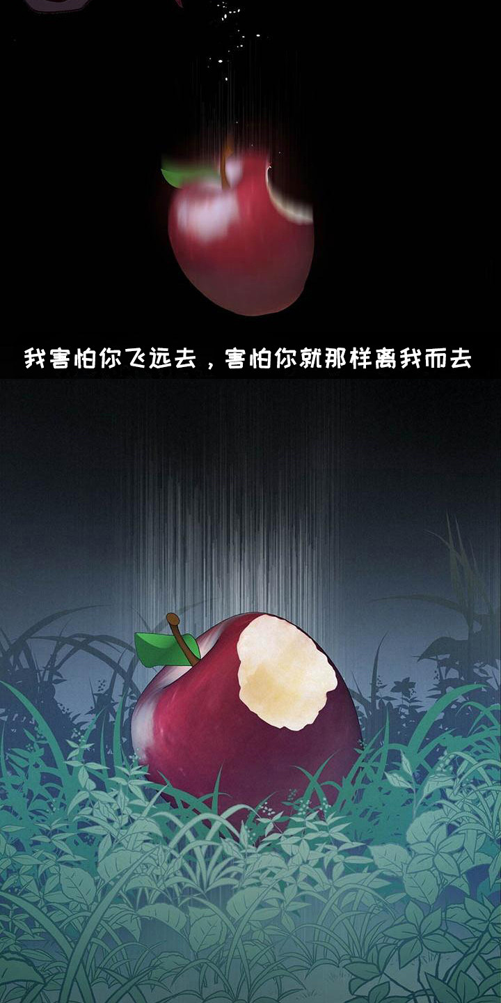 《爱豆新星》第26章出道日 第25页