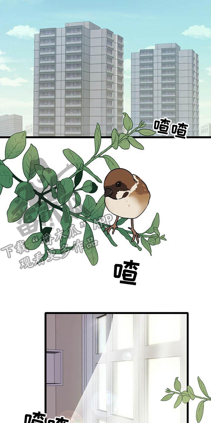 《爱豆新星》第27章迎接早晨 第17页