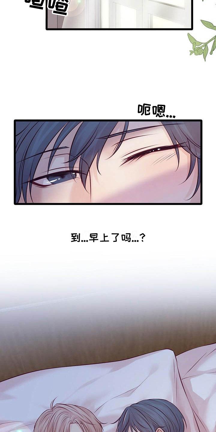 《爱豆新星》第27章迎接早晨 第18页