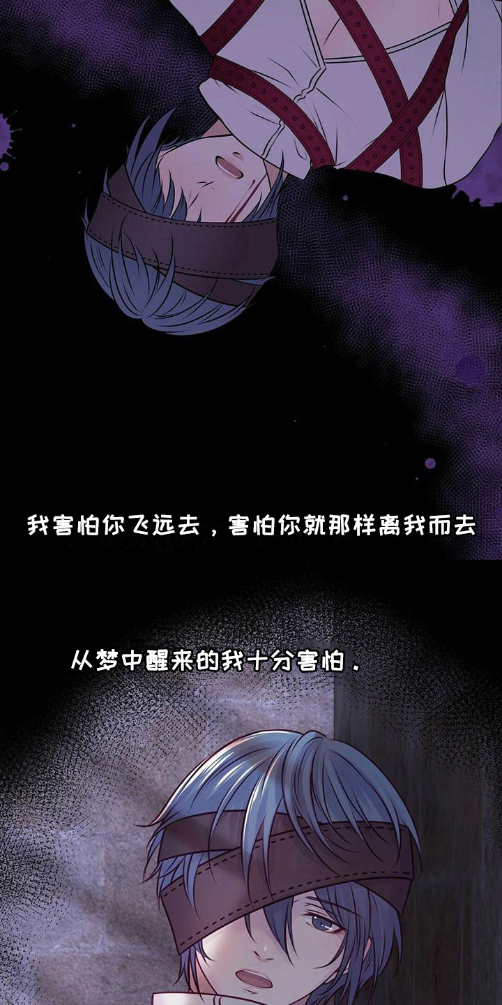 《爱豆新星》第27章迎接早晨 第9页