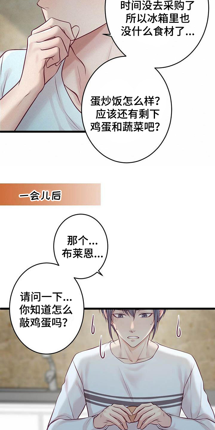 《爱豆新星》第28章很幸福 第11页