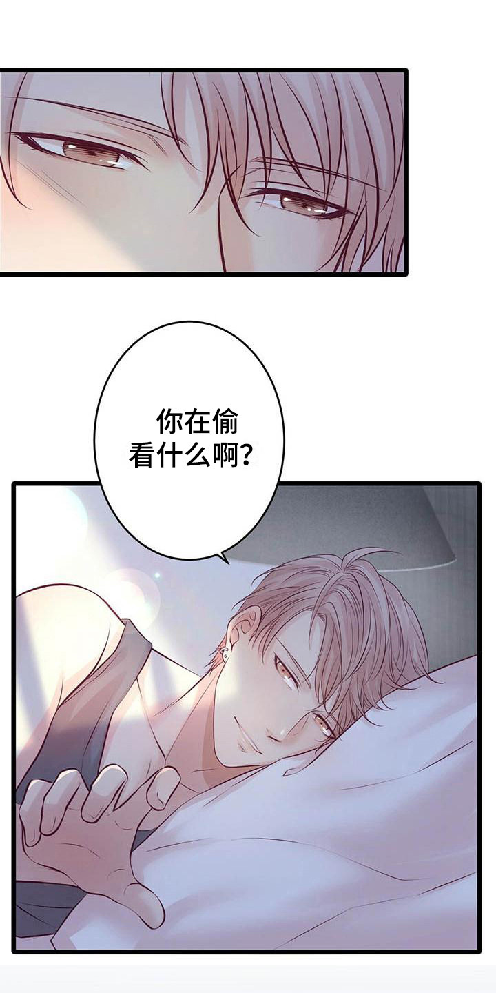 《爱豆新星》第28章很幸福 第1页