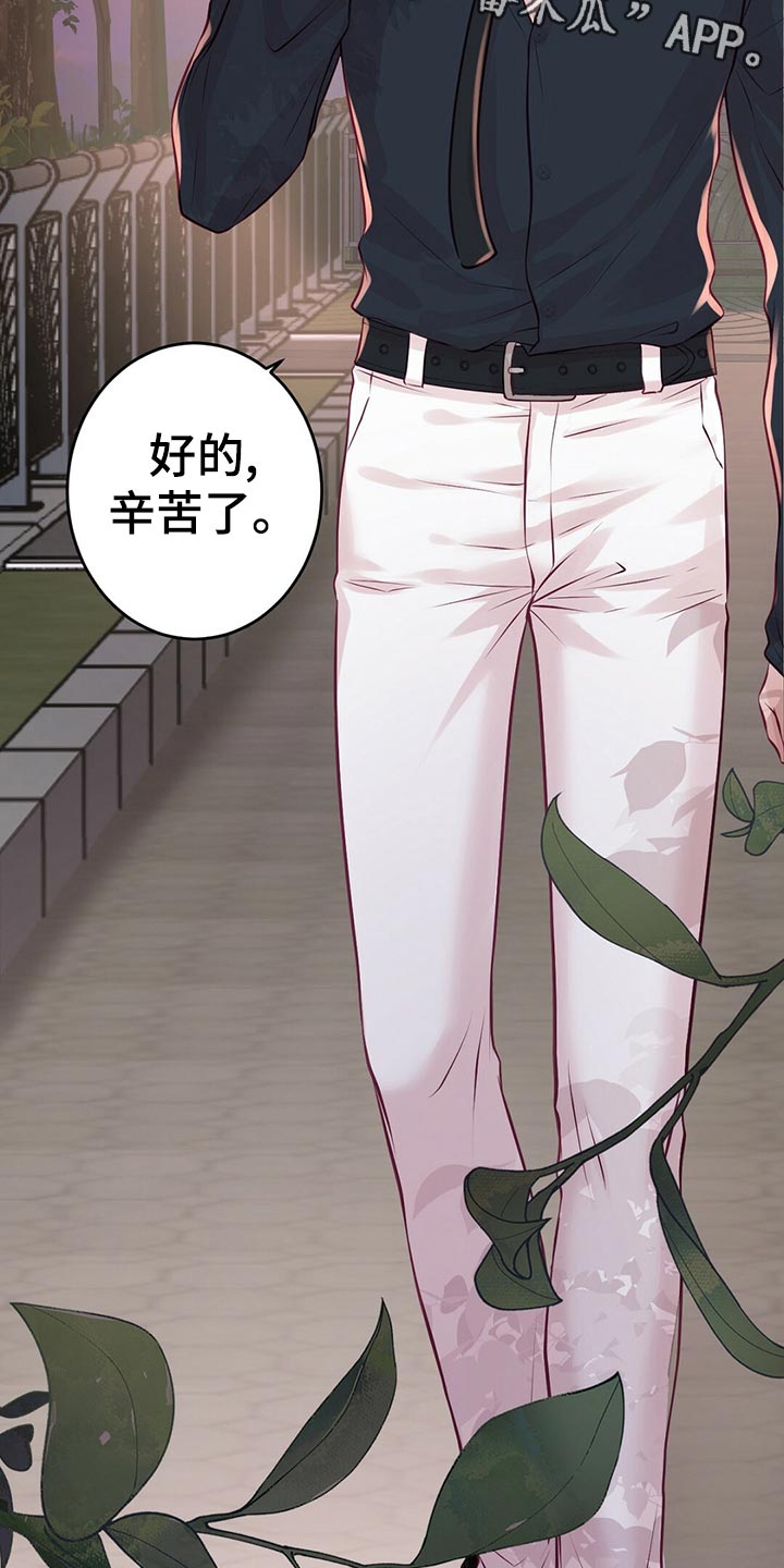 《爱豆新星》第30章拍摄结束 第3页