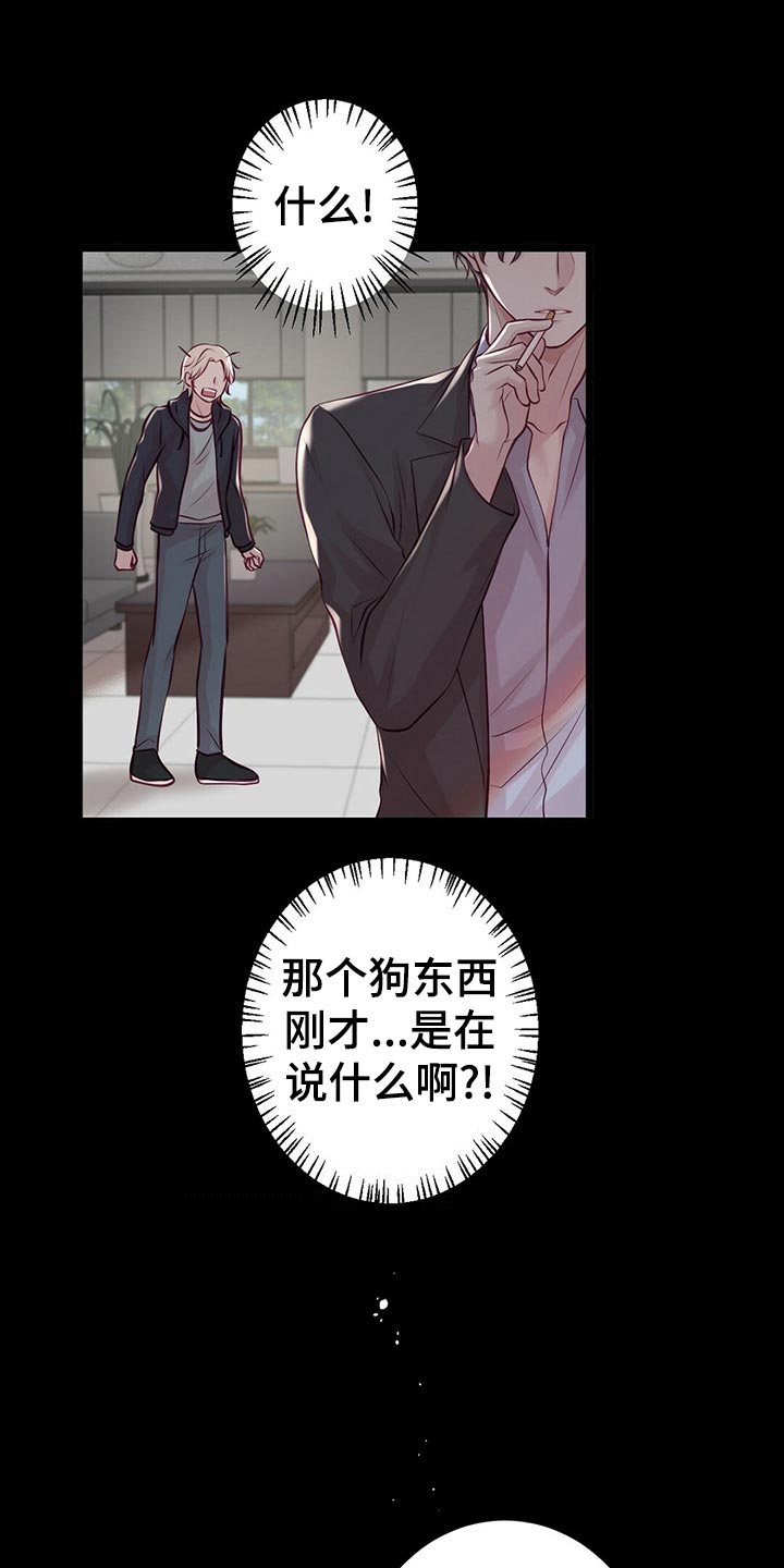 《爱豆新星》第31章竞争者 第29页