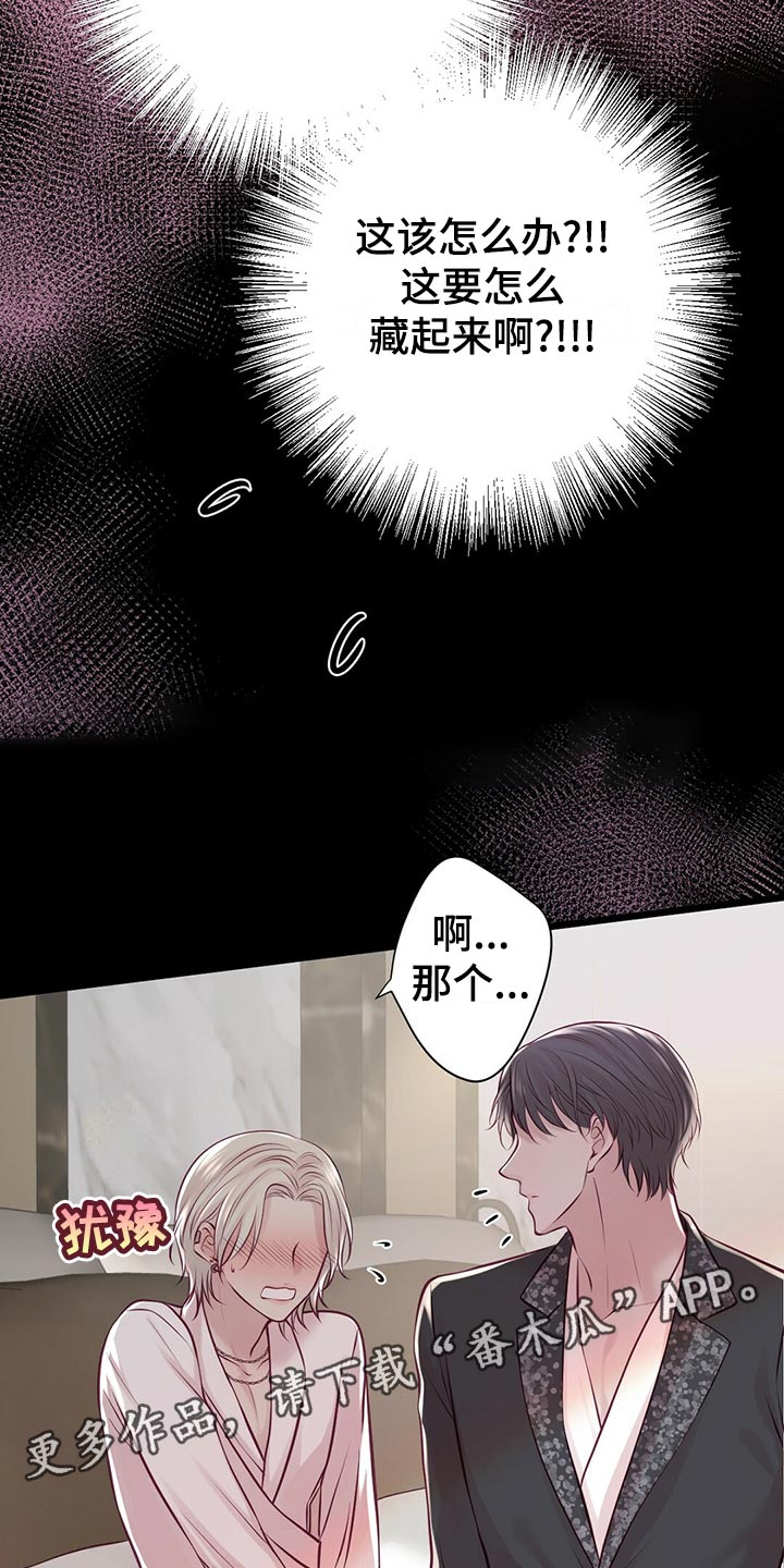《爱豆新星》第36章教训 第13页