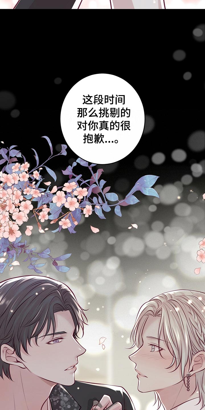 《爱豆新星》第36章教训 第8页