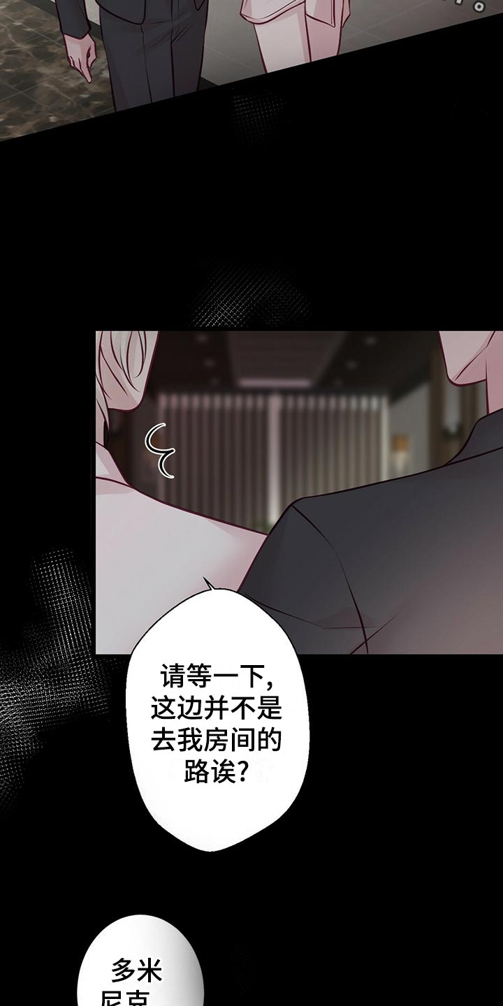 《爱豆新星》第34章逃离 第12页
