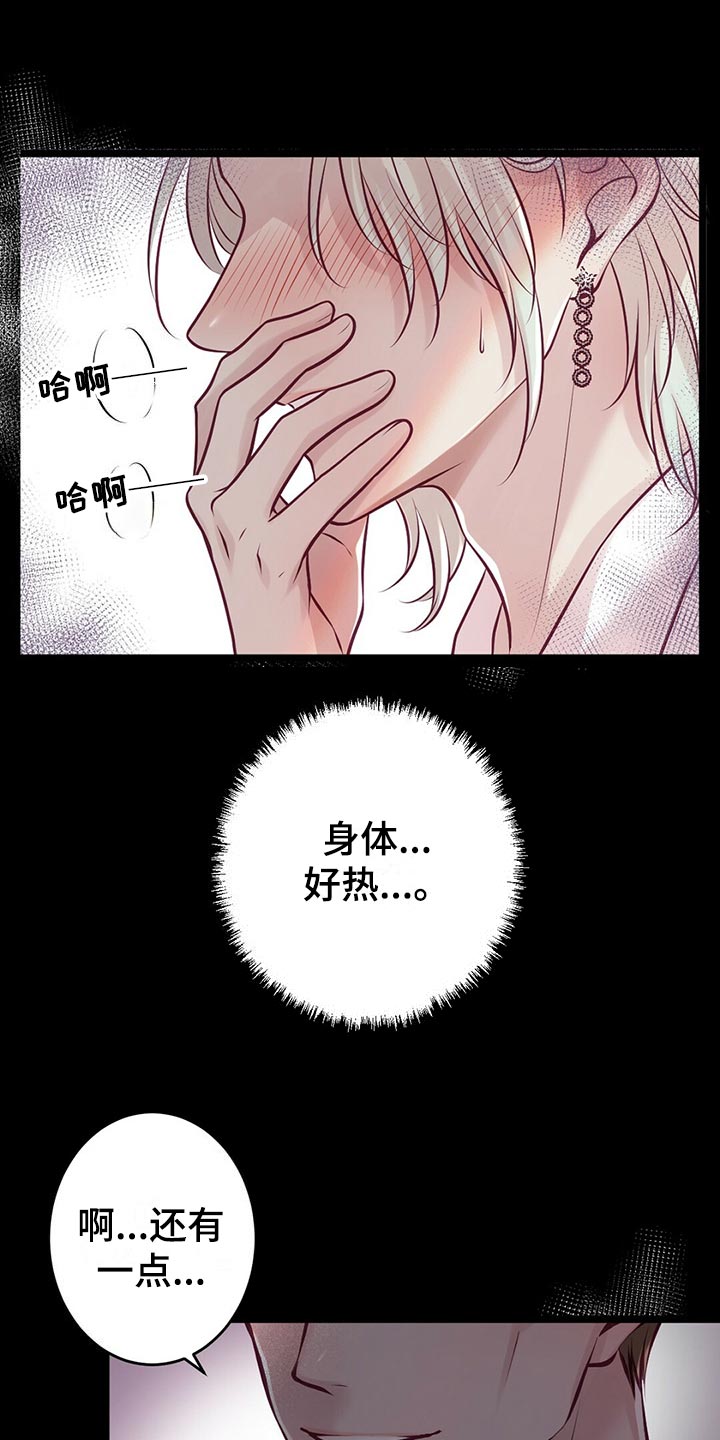 《爱豆新星》第34章逃离 第1页