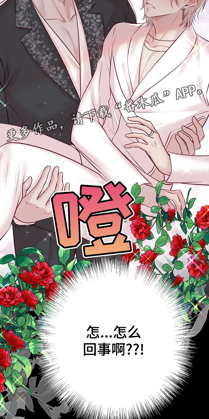 《爱豆新星》第35章搭救 第13页
