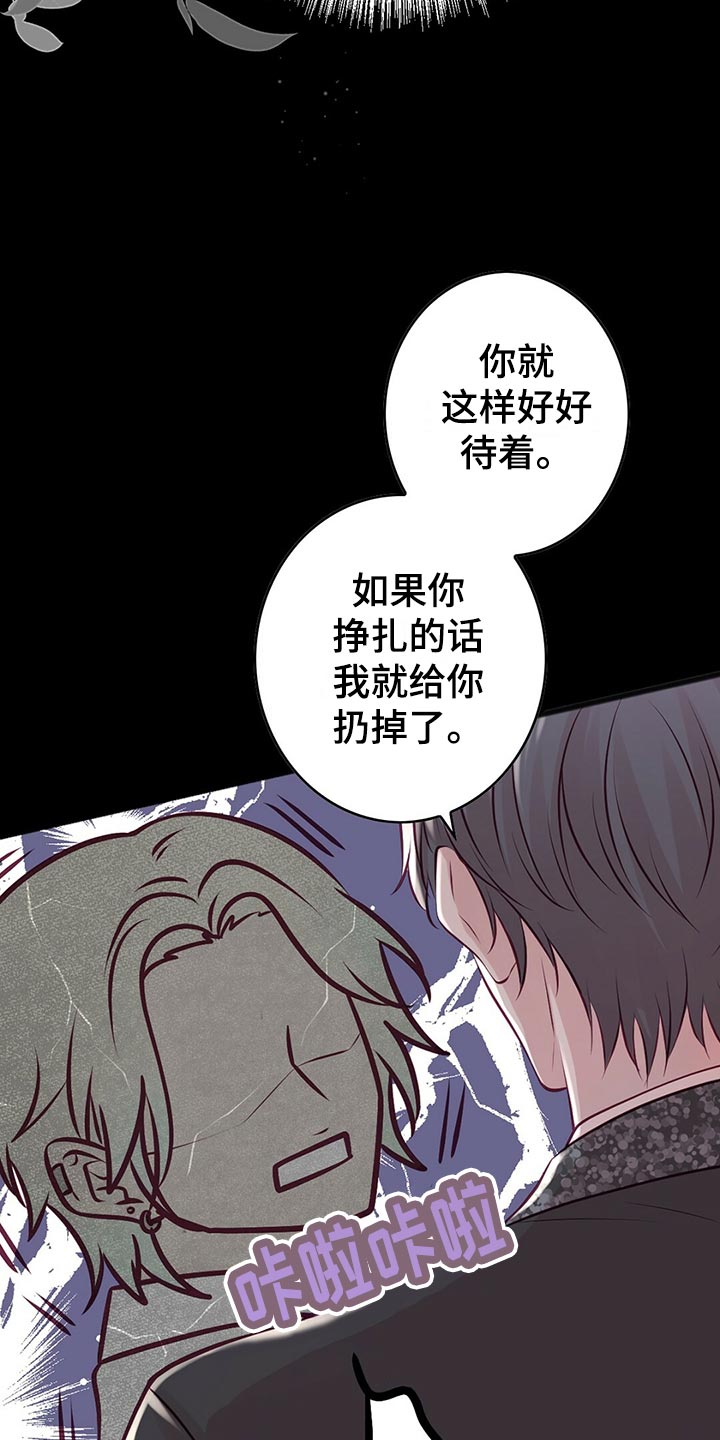 《爱豆新星》第35章搭救 第14页