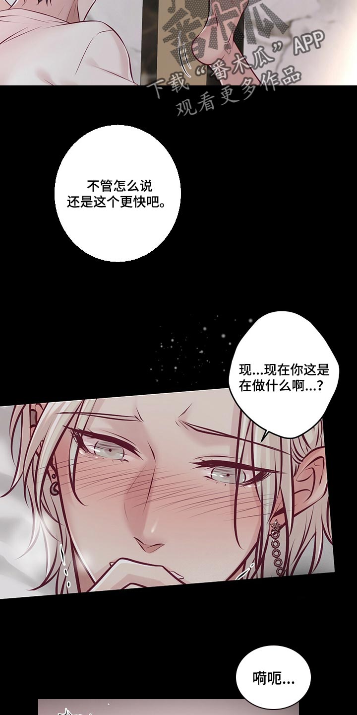 《爱豆新星》第37章一团糟 第2页