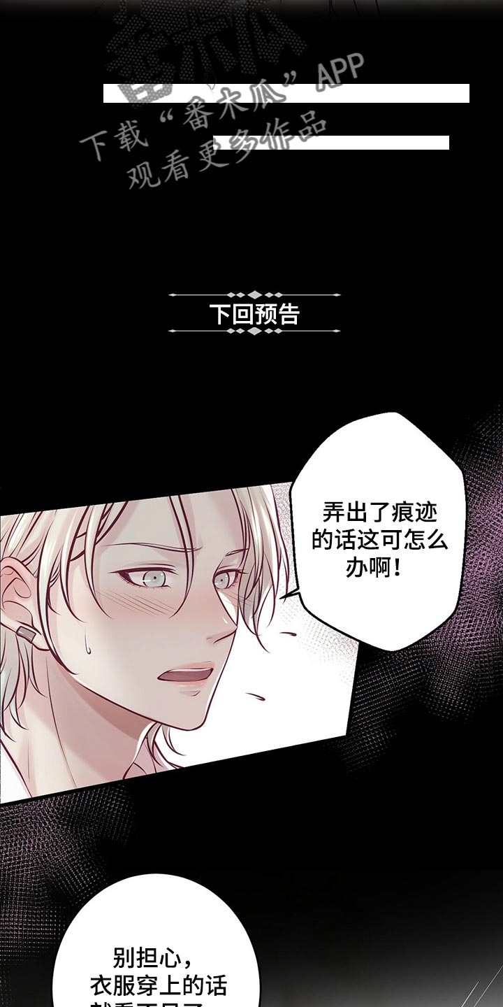 《爱豆新星》第42章无法忘记的经历 第12页