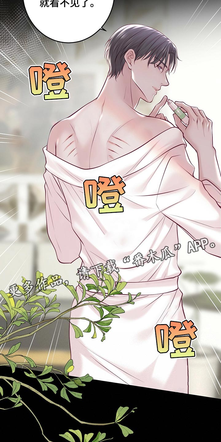 《爱豆新星》第42章无法忘记的经历 第13页