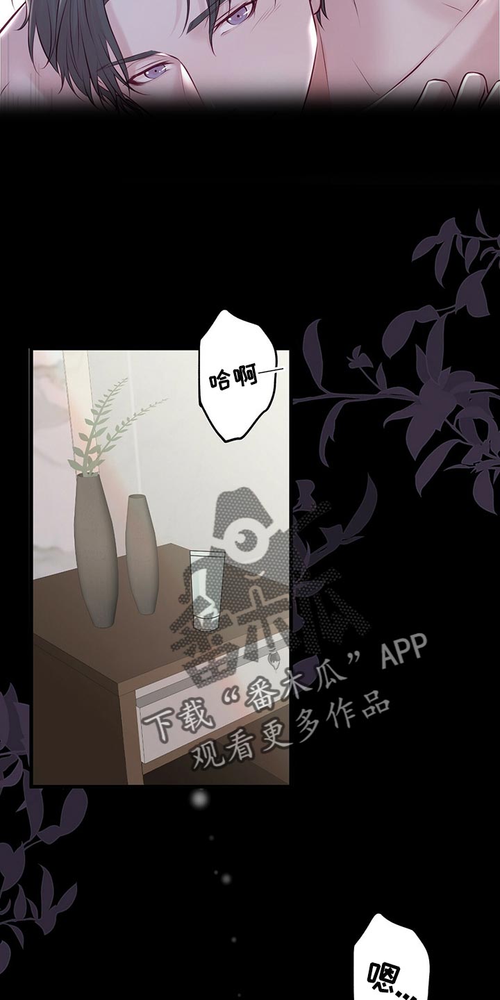《爱豆新星》第42章无法忘记的经历 第2页