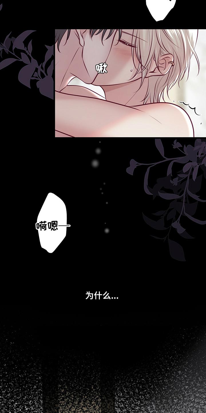 《爱豆新星》第42章无法忘记的经历 第3页