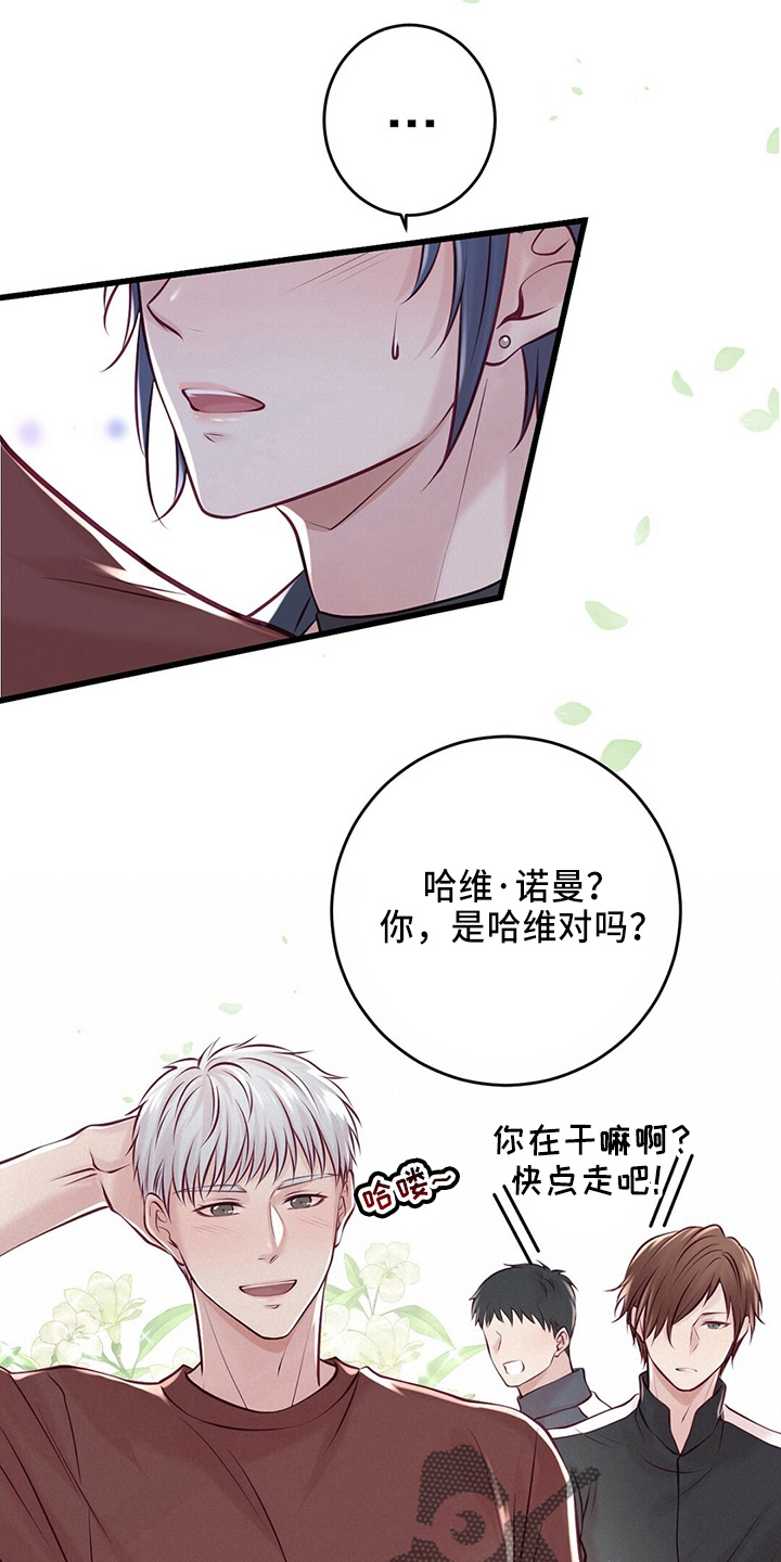 《爱豆新星》第45章粉丝 第17页