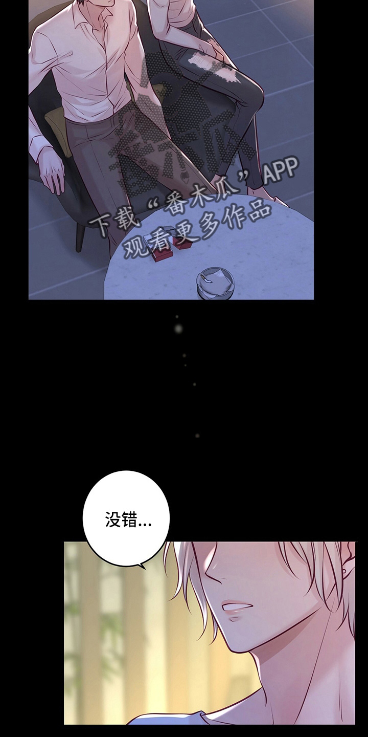 《爱豆新星》第44章床伴 第12页