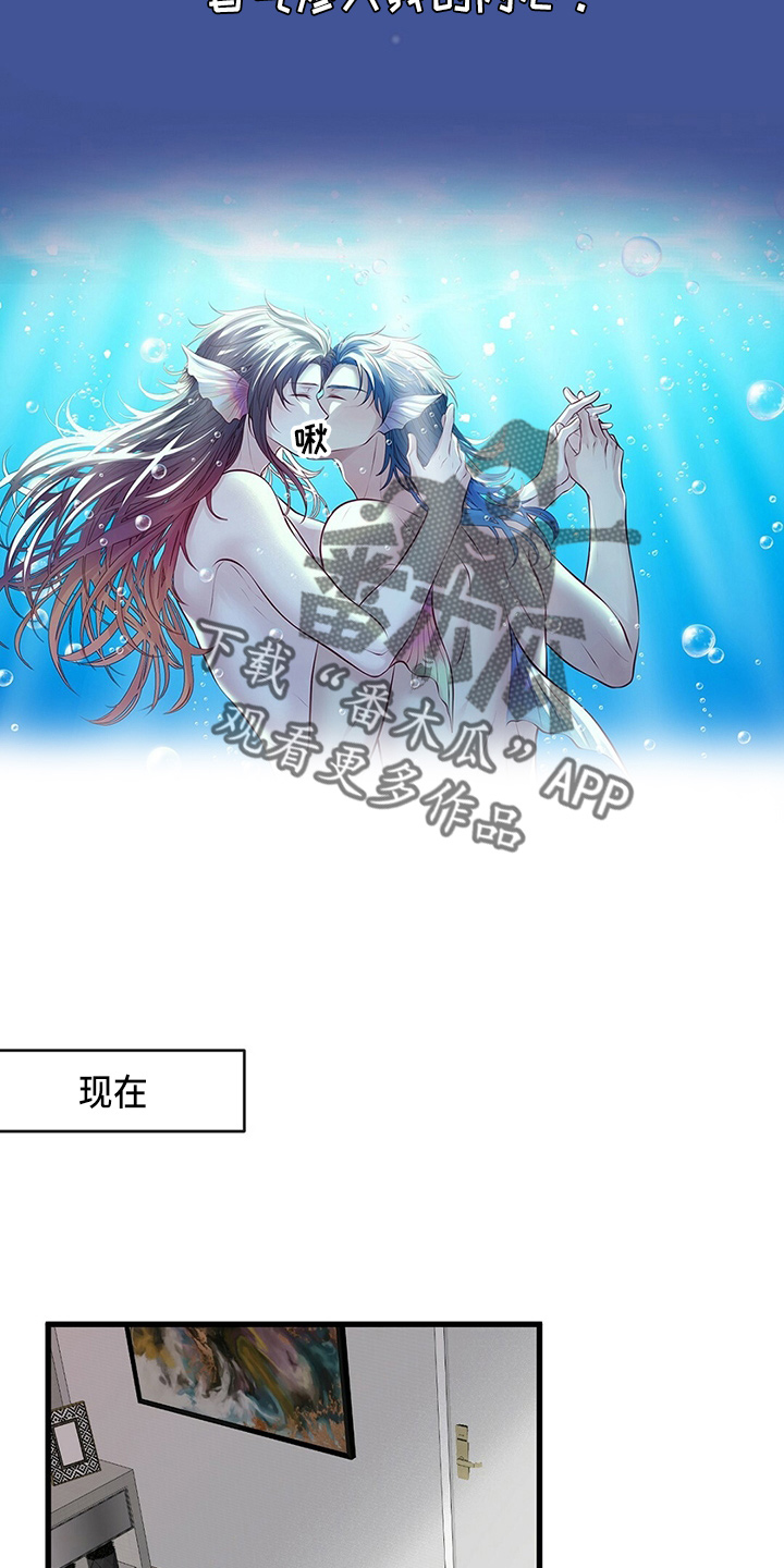 《爱豆新星》第44章床伴 第20页