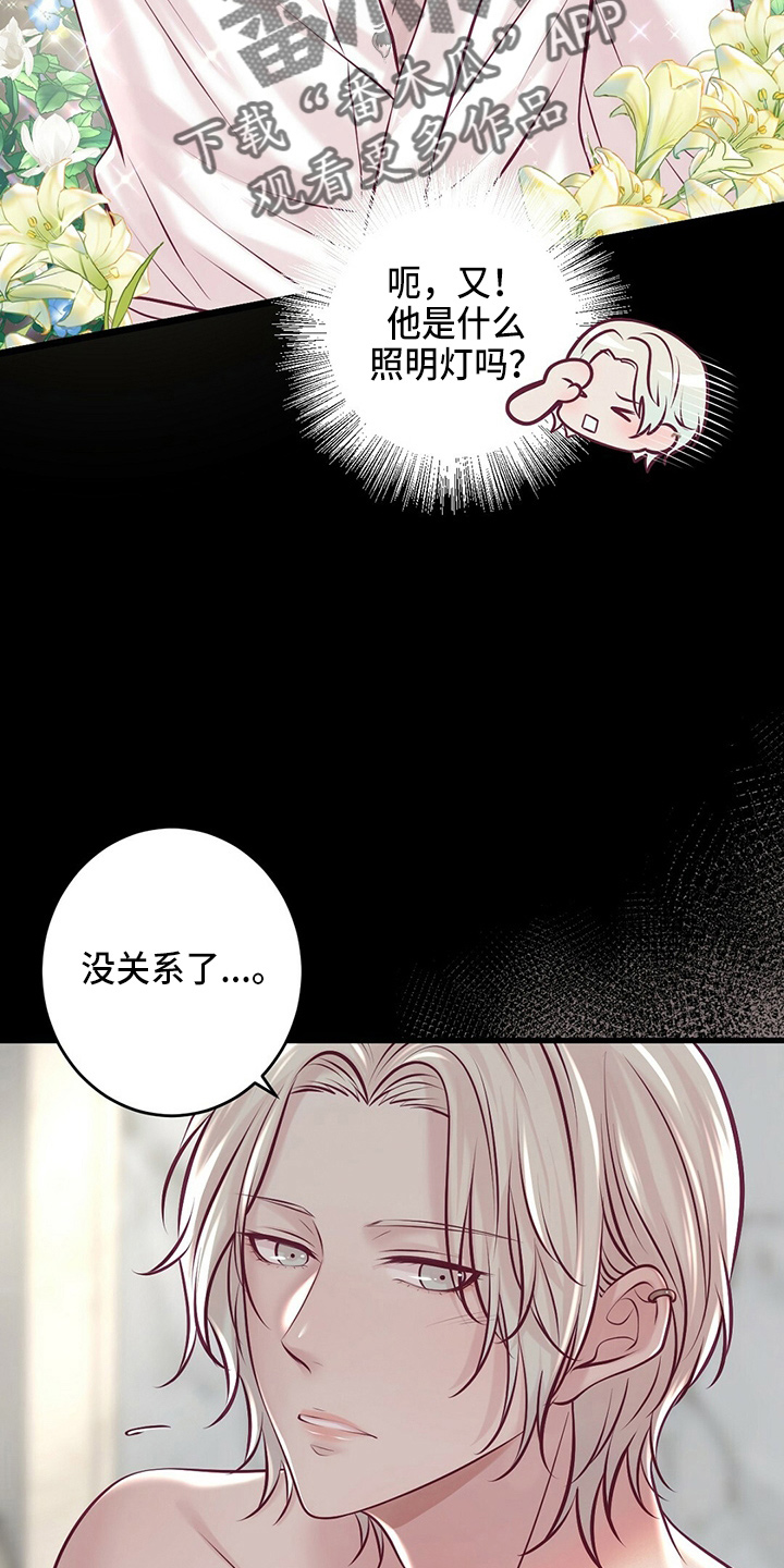 《爱豆新星》第43章对不起 第11页