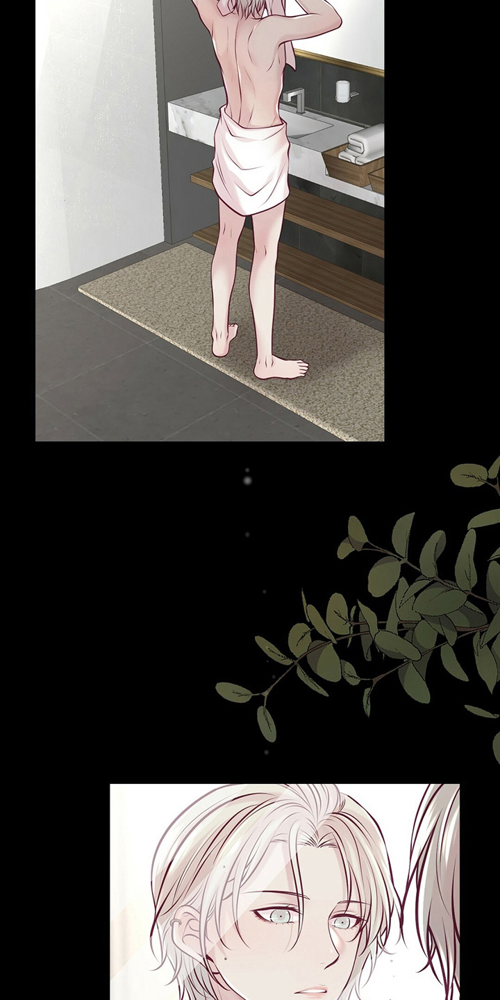 《爱豆新星》第43章对不起 第17页